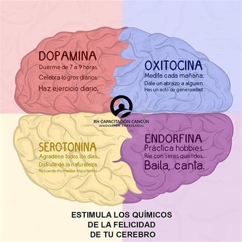 endorfina e serotonina